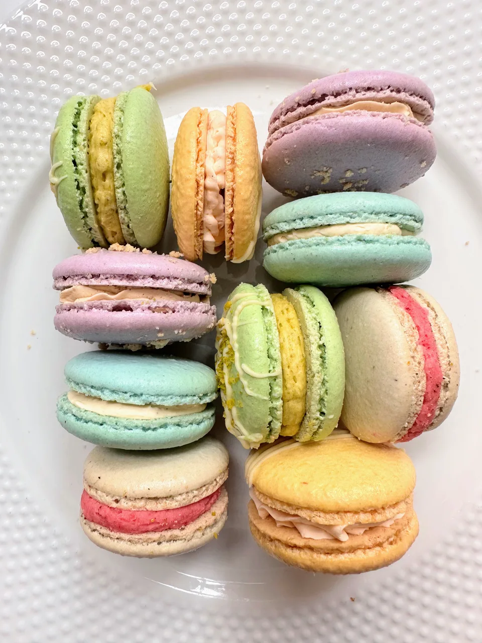 Ellie’s handmade pastel macarons on a white plate